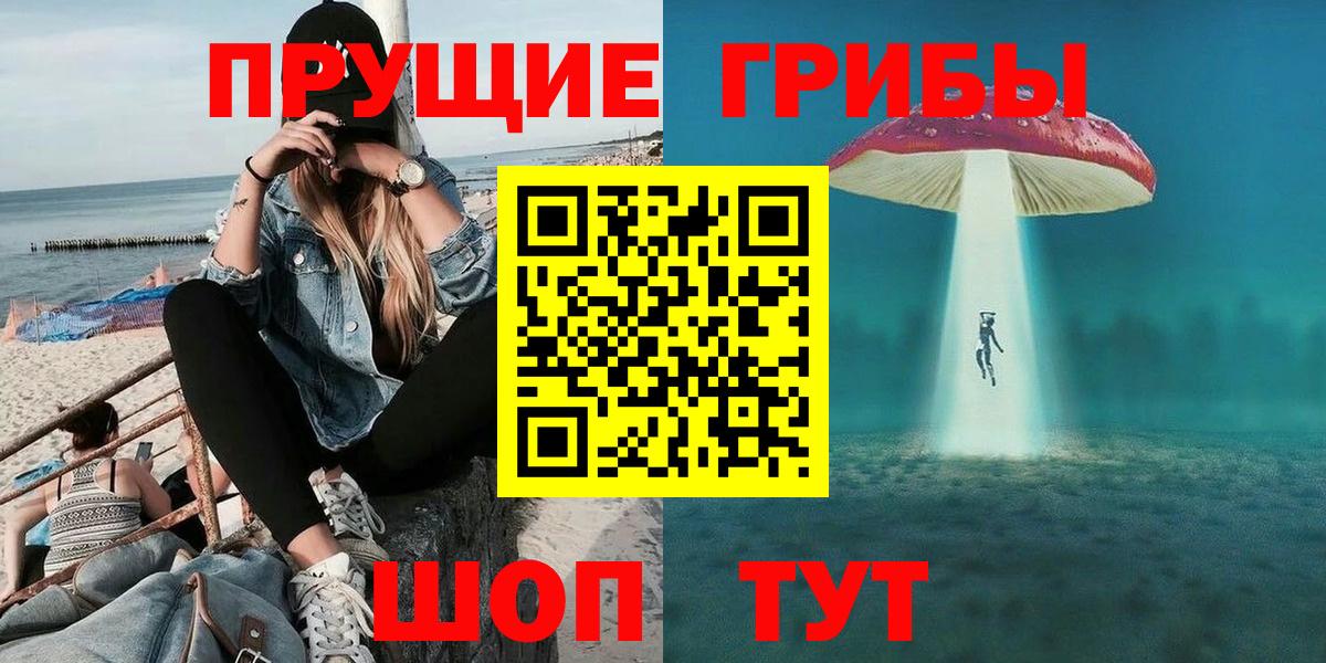 купить наркотики сайты  Галлюциногенные грибы Psilocybine cubensis  Вход с VPN  Гусев 