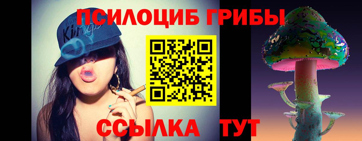 Псилоцибиновые грибы MAGIC MUSHROOMS Гусев